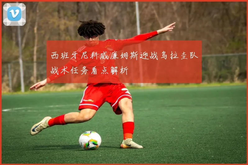 西班牙尼科威廉姆斯迎战乌拉圭队战术任务看点解析