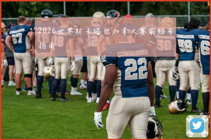 2026世界杯卡塔尔加拿大赛前赔率指南