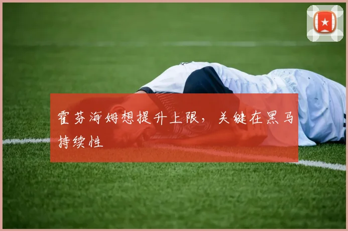 霍芬海姆想提升上限，关键在黑马持续性