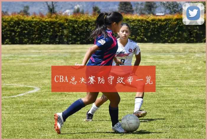 CBA总决赛防守效率一览