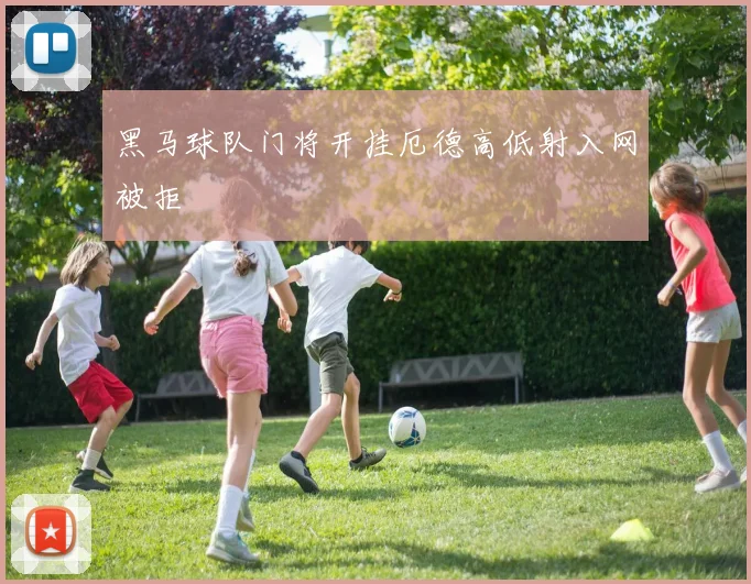 黑马球队门将开挂厄德高低射入网被拒