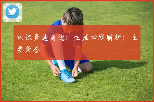 认识费迪南德：生涯回顾解析：主要荣誉