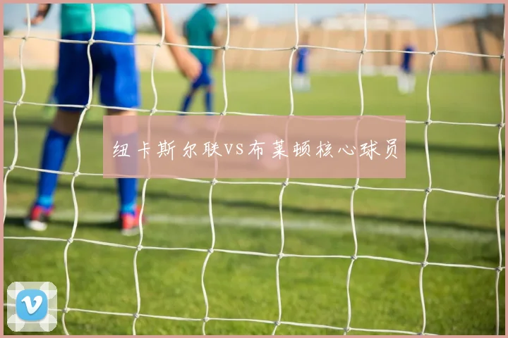 纽卡斯尔联vs布莱顿核心球员